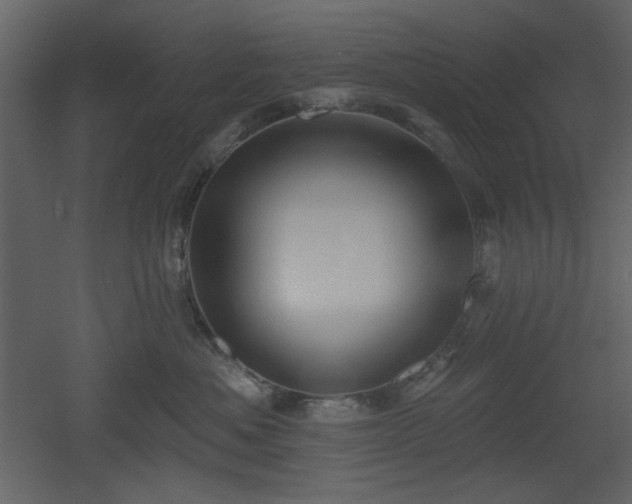 X0000053000525200507081236
