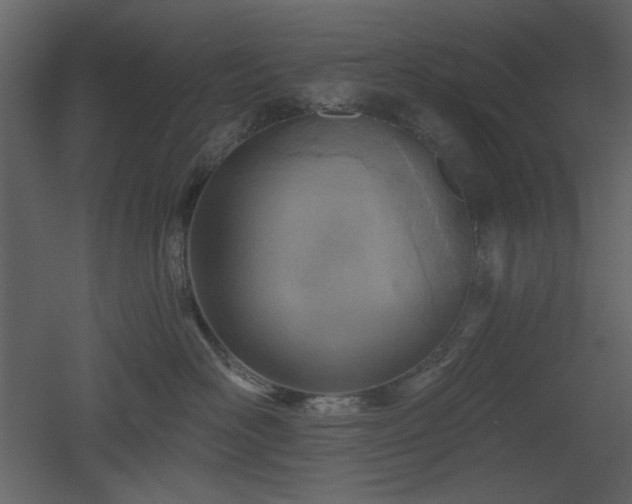 X0000053000526200507081236