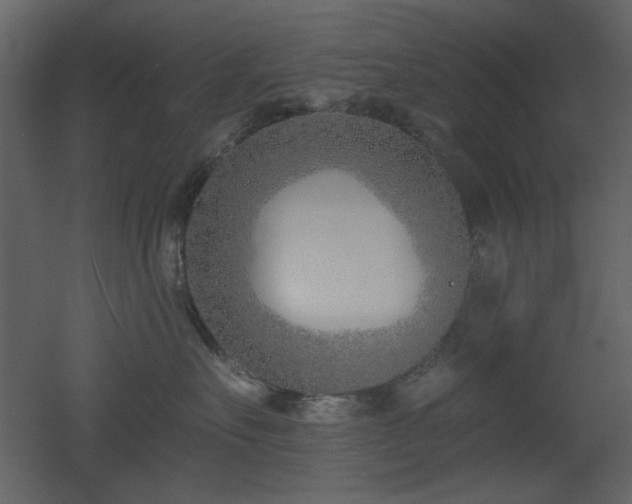 X0000053000527200507081236
