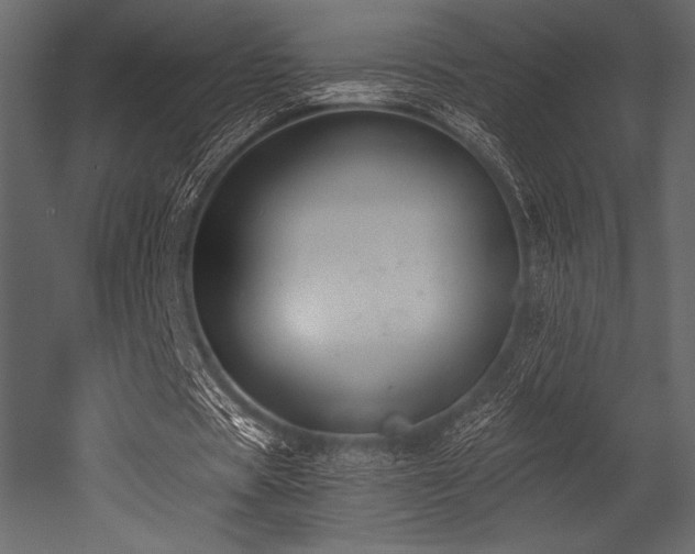 X0000053000529200507081236