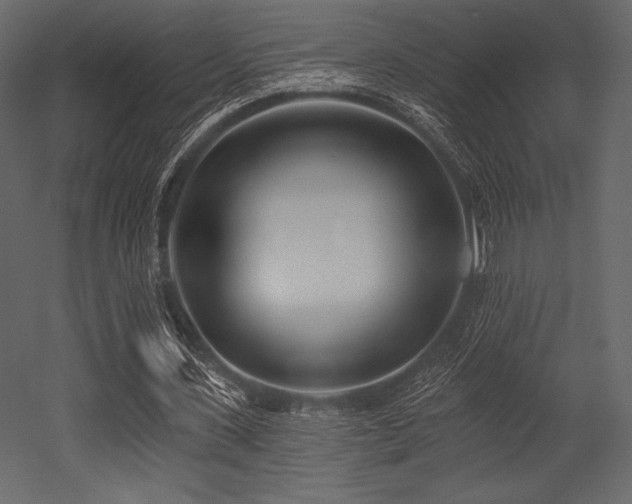 X0000053000531200507081236