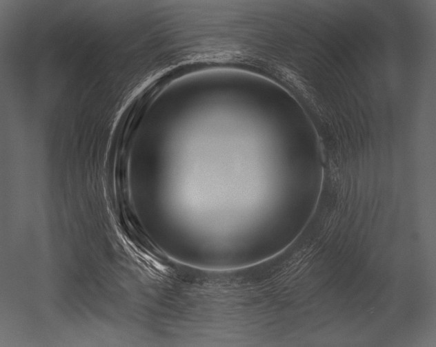 X0000053000532200507081236