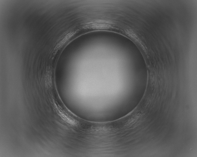 X0000053000533200507081236