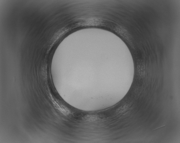 X0000053000534200507081236