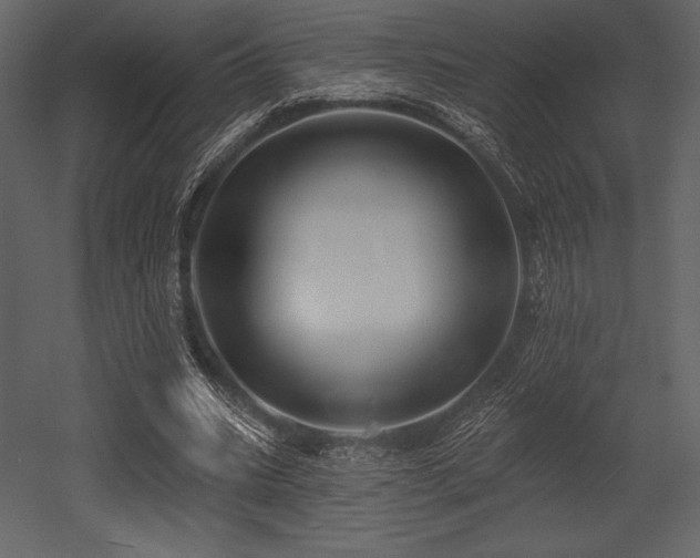 X0000053000535200507081236