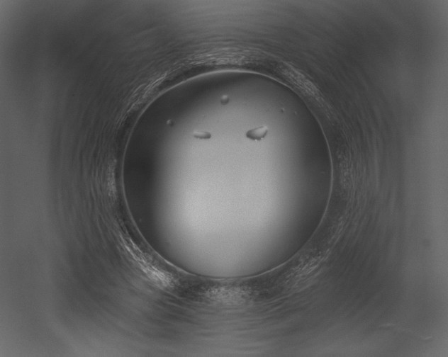 X0000053000537200507081236
