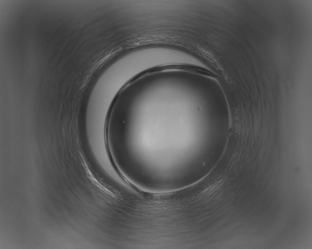 X0000053000538200507081236
