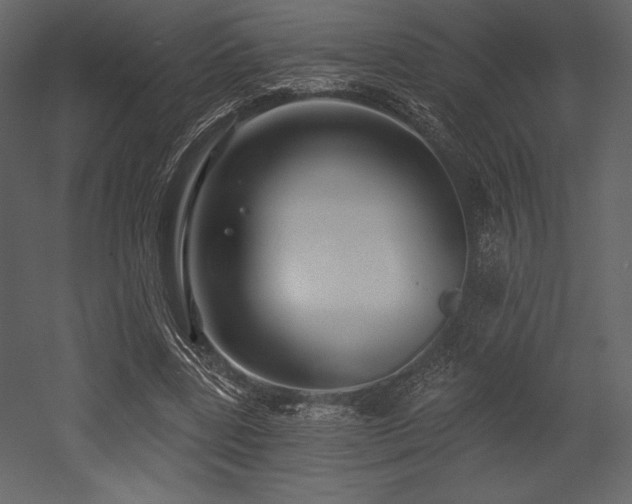 X0000053000539200507081236