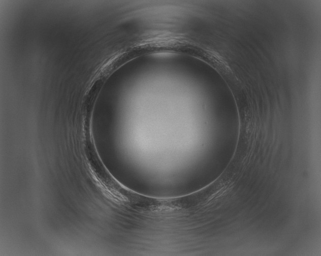 X0000053000542200507081236