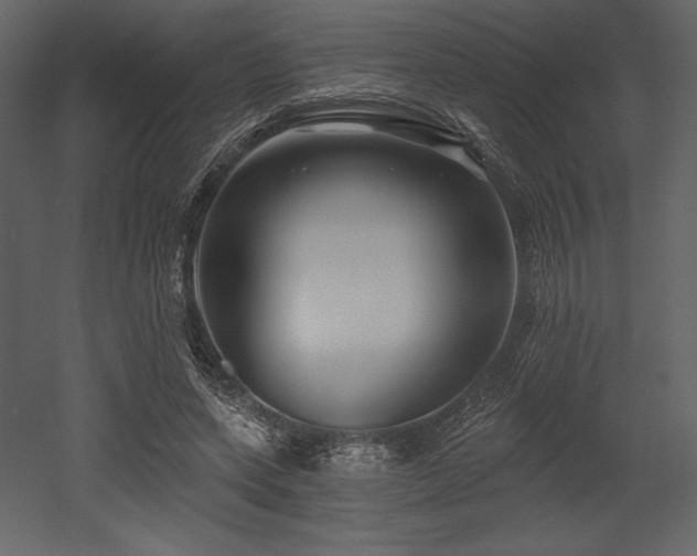 X0000053000543200507081236