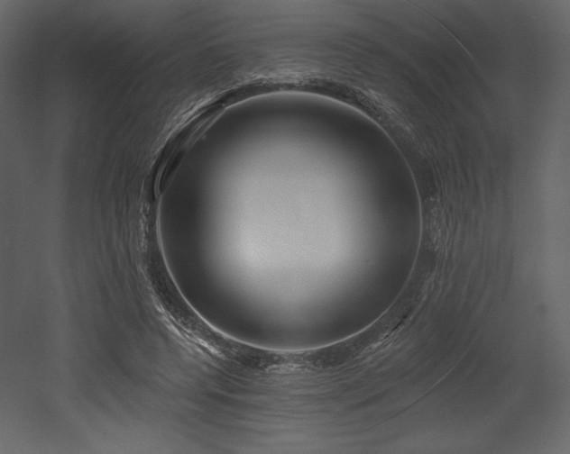 X0000053000544200507081236