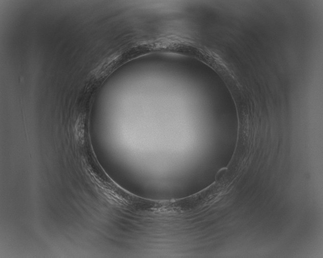 X0000053000545200507081236
