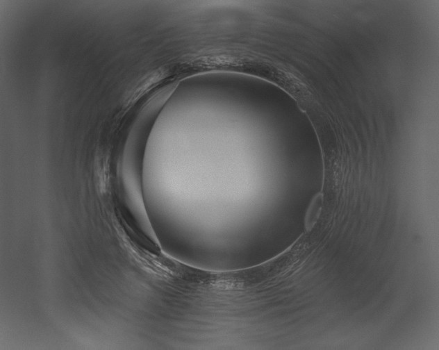 X0000053000546200507081236