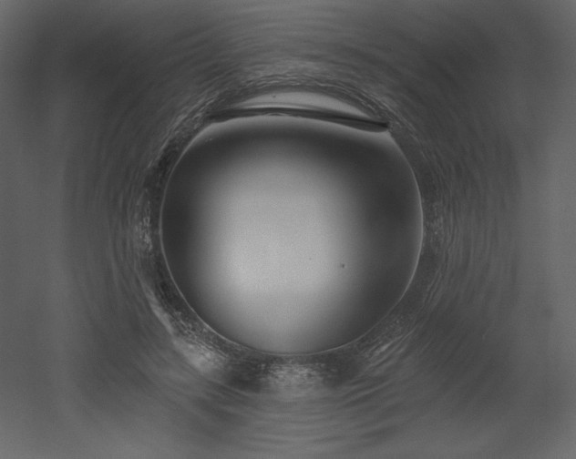 X0000053000547200507081236
