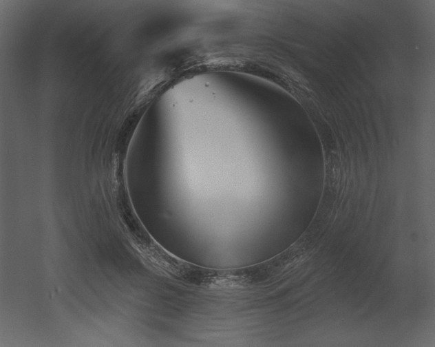 X0000053000550200507081236