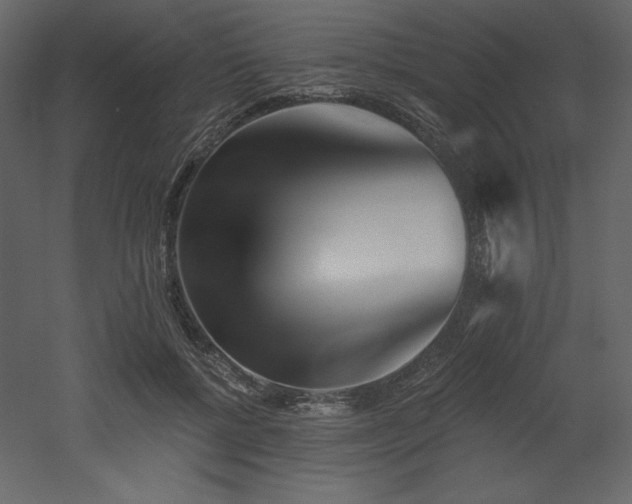 X0000053000552200507081236