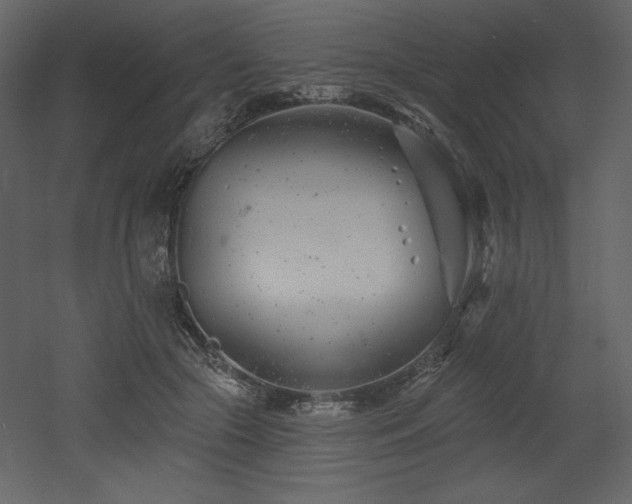 X0000053000553200507081236