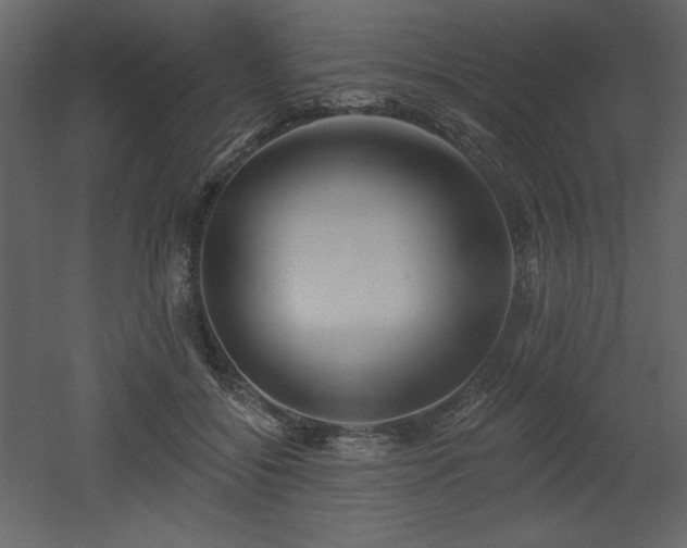 X0000053000556200507081236