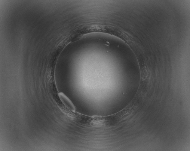 X0000053000560200507081236
