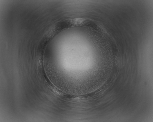 X0000053000561200507081236
