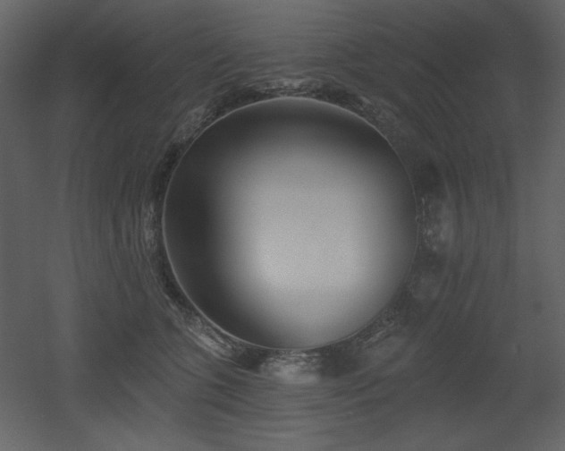 X0000053000563200507081236