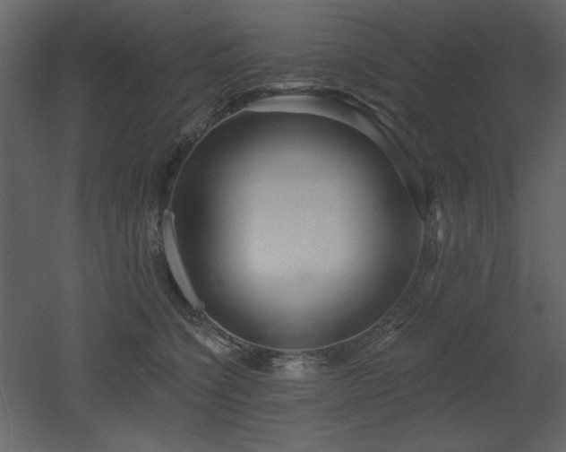 X0000053000564200507081236