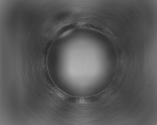 X0000053000565200507081236