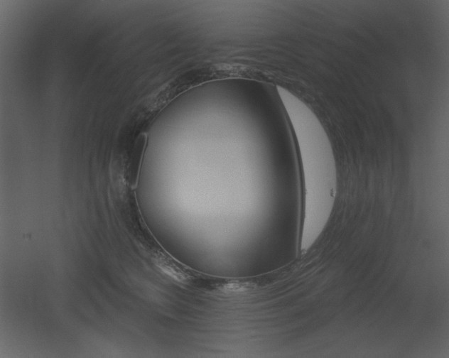 X0000053000566200507081236
