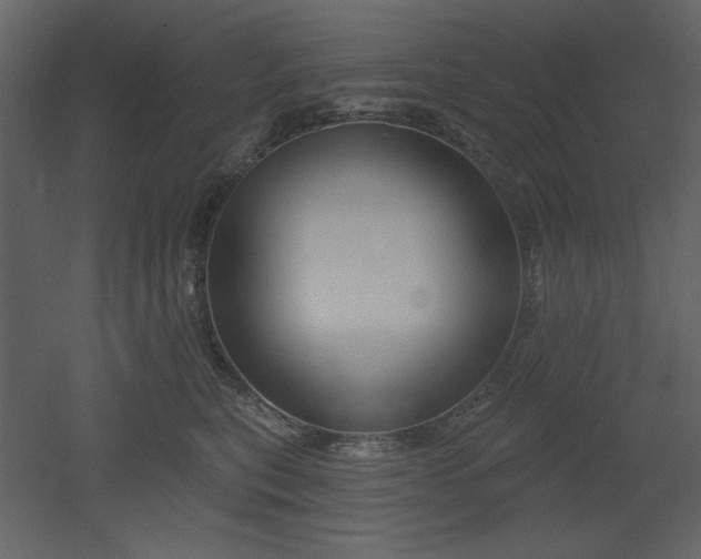 X0000053000567200507081236