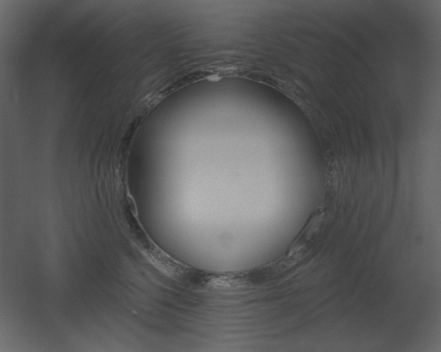 X0000053000568200507081236