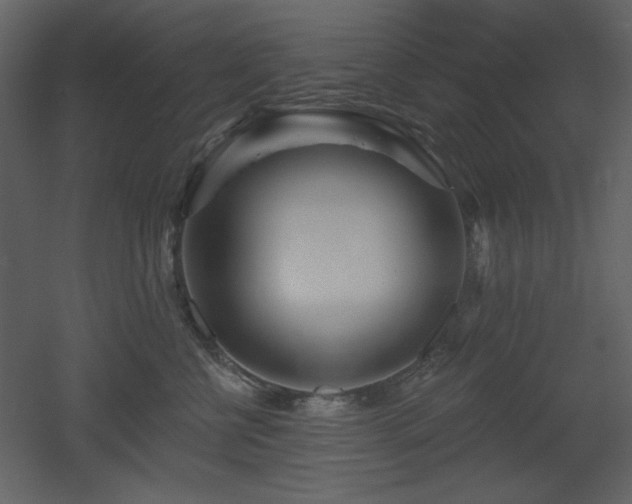 X0000053000570200507081236