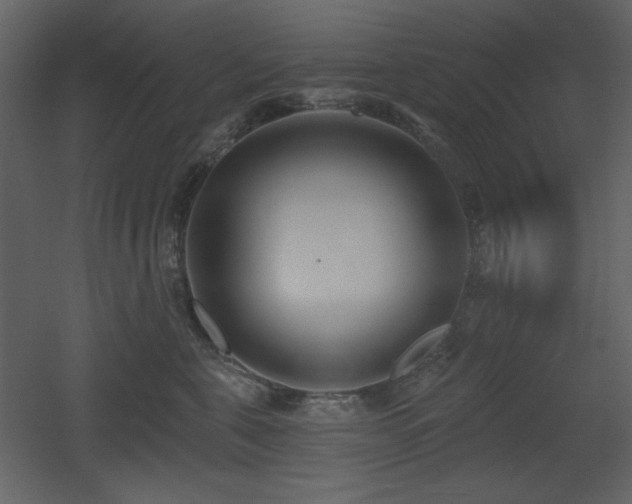 X0000053000571200507081236