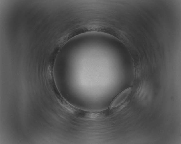 X0000053000575200507081236