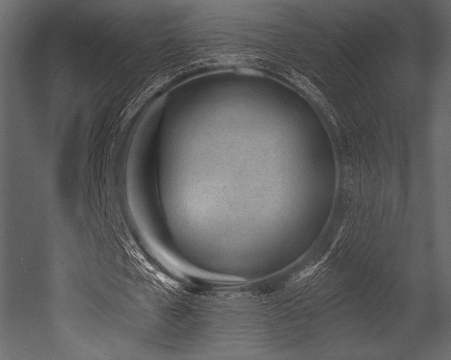 X0000053000577200507081236