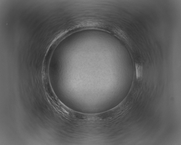 X0000053000579200507081236
