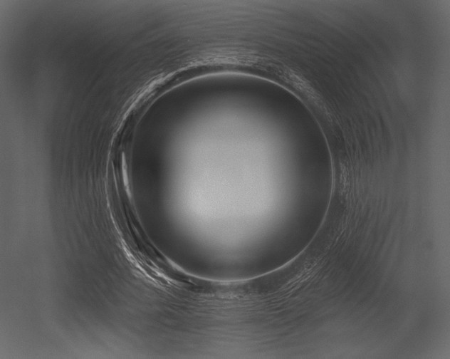X0000053000580200507081236