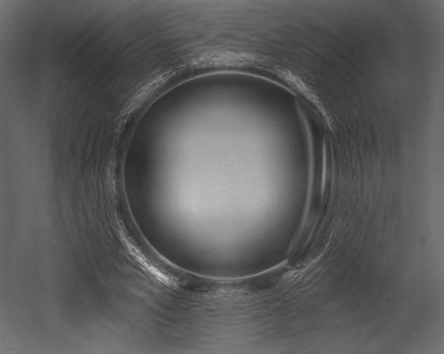 X0000053000581200507081235