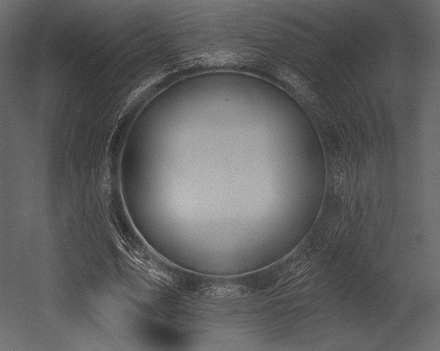 X0000053000583200507081235