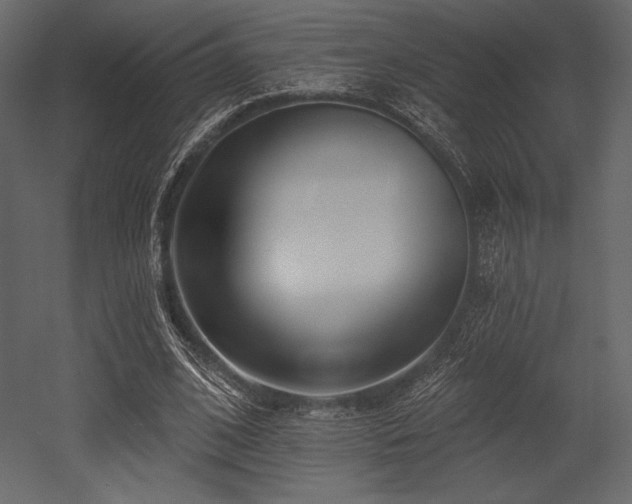X0000053000584200507081235