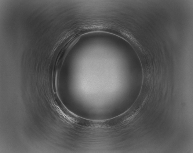 X0000053000585200507081235