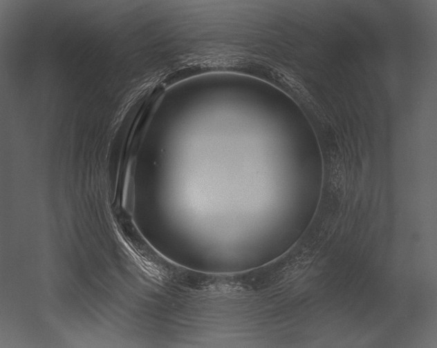 X0000053000586200507081235