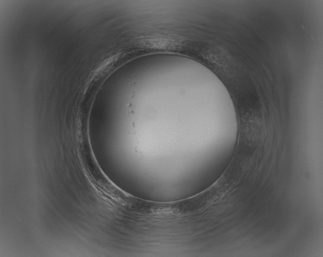 X0000053000587200507081235