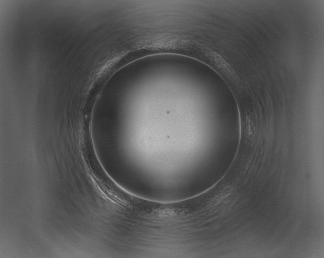 X0000053000588200507081235