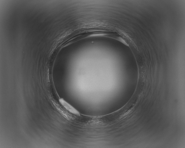 X0000053000589200507081235