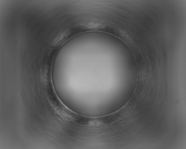 X0000053000591200507081235
