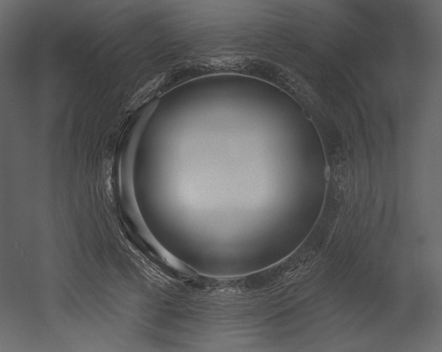 X0000053000593200507081235
