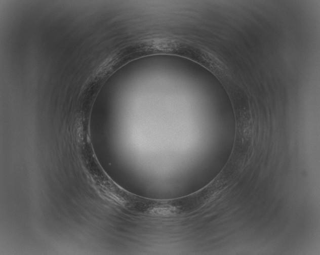 X0000053000595200507081235