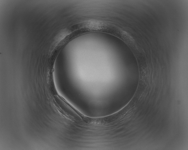 X0000053000596200507081235