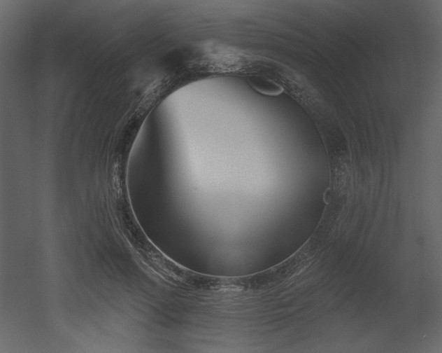 X0000053000598200507081235