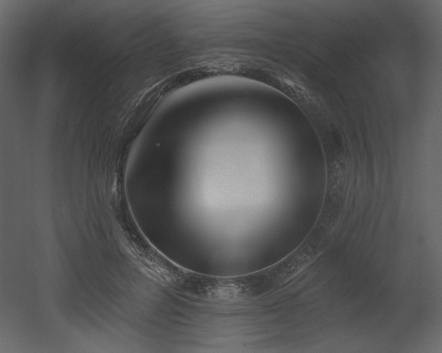 X0000053000600200507081235